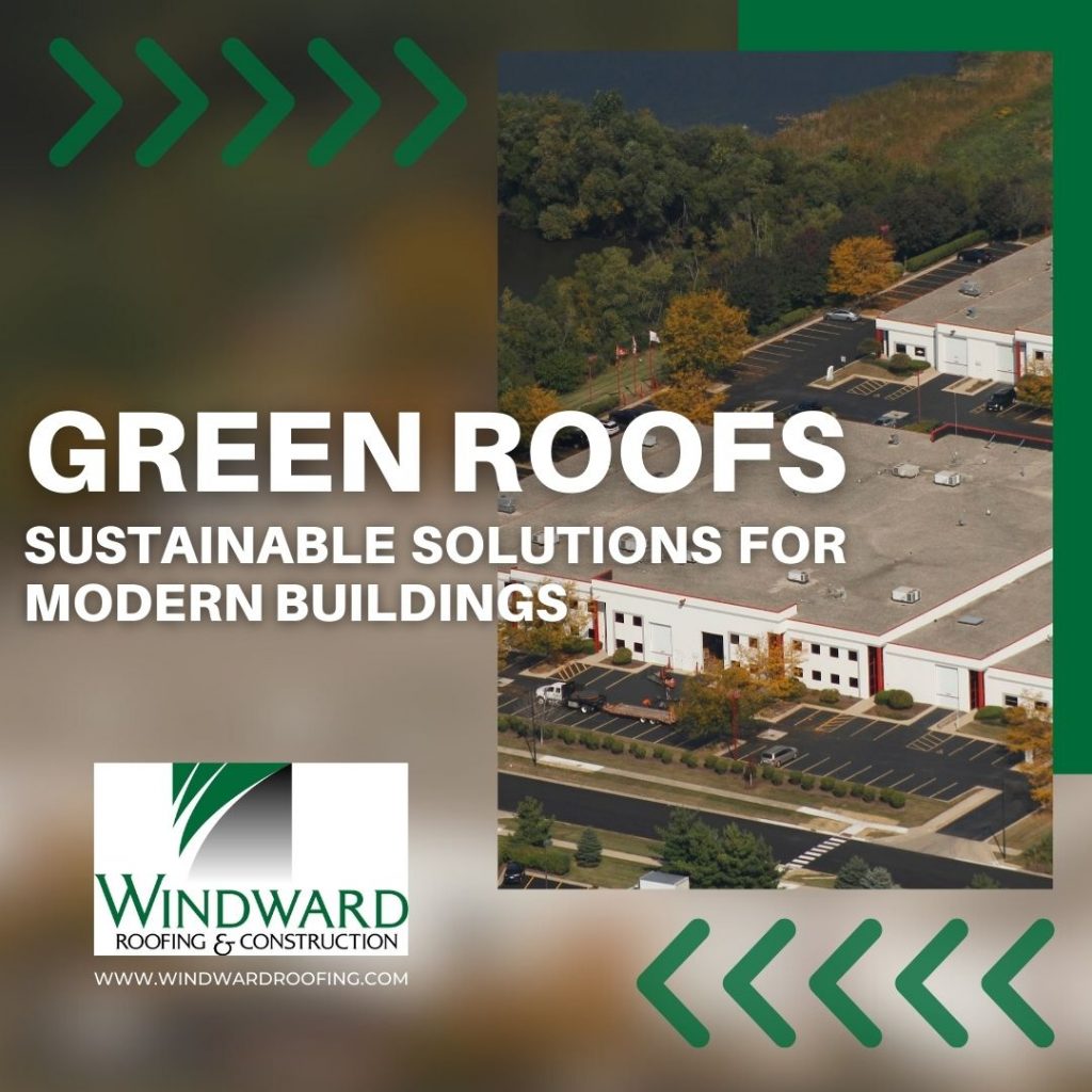 green roof contractors in chicago