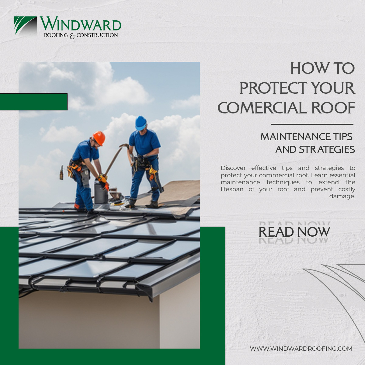 Protect Your Commercial Roof Maintenance Tips Windward Roofing